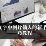 WPS Office如何插入图片：详细教程与操作指南|WPS下载