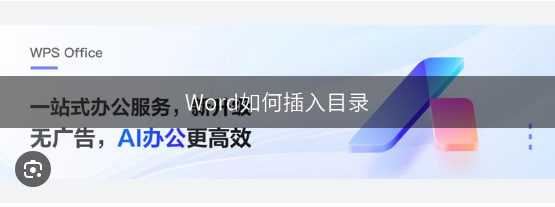 WPS Office如何插入目录？|WPS下载