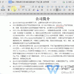 WPS Office如何使用插入页脚和页眉？|WPS官网