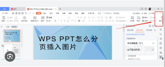 WPS Office如何插入自定义图片？|WPS下载