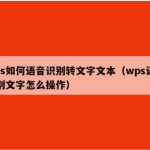 WPS Office如何进行语音转文本？|WPS下载